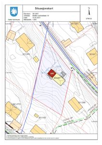 Situasjonskart som viser eiendommen 301/207 i forhold til nabolaget, med topografi, vei og naboeiendommer.