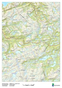 Et topografisk kart over et område i Norge, med fjell, vann og veier. Kartet viser koordinater, projeksjon og utgivelsesdato.