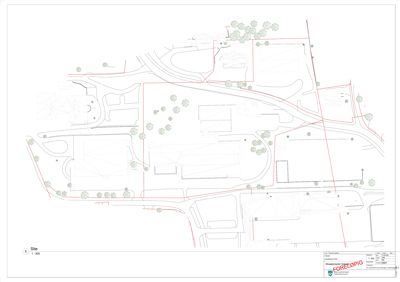 Situasjonsplan som viser tomtens beliggenhet, omgivende infrastruktur (veier), beplantning og bygningers plassering.