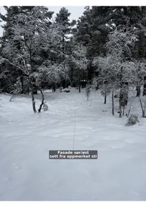 Fotografi av et snødekt skogsmark med en markørstang, som viser en fasade retning.