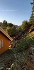 Fotografi av en gul hytte sett fra siden, med skog og fjell i bakgrunnen.