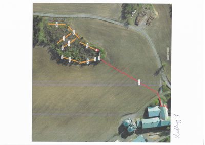 Situasjonsplan over eiendom med markerte vegforbindelser (røde streker) og et punktmerket område (rødt hjerte) på en tomt.