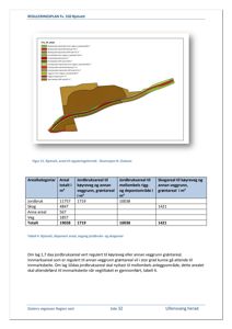 Et kart over et reguleringsformål som viser arealbruk og arealoppdeling.