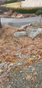 Fotografi av et terreng med steiner, grus og en vei i bakgrunnen.