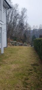 Fotografi av en hvit villa sett fra siden, med en grønn hage, en hegg, og en skogbakke i bakgrunnen.