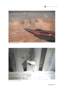 Fotografier av skade på et treverk, spesifikt borebilleangrep og pulverisert tre.