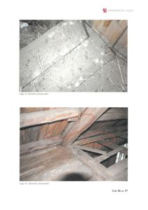 Fotografier av en borebille (hull i treverk) i en bygning, med røde sirkler som markerer skaden.