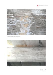 Fotografier av trekonstruksjoner med borebilleangrep