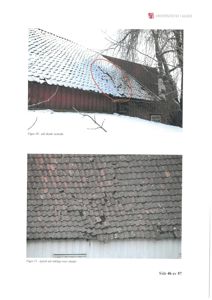 Fotografier av et tak med skader, inkludert en helhetlig utsikt og et nærbilde av skadet takflis.