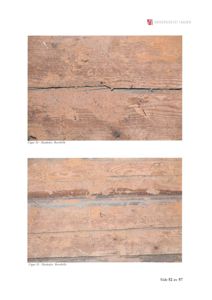 Fotografier av skadedyrsangrep (borebiller) i trekonstruksjon, illustrert med teksten 'Figur 34 - Skadedyr, Borebille' og 'Figur 35 - Skadedyr, Borebille'.