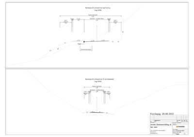 Tegning som viser normalprofiler (tverrsnitt) av gater og fortau med høydemål og dimensjoner.