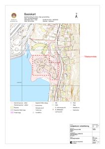 Situasjonsplan som viser bygningers plassering i forhold til hverandre, terrenget (konturlinjer) og vannmasser (Lyngbøsvatnet).