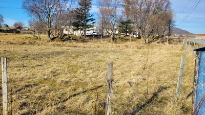 Fotografi av en tomme tomt med gress, hekk og en bygning i bakgrunnen.