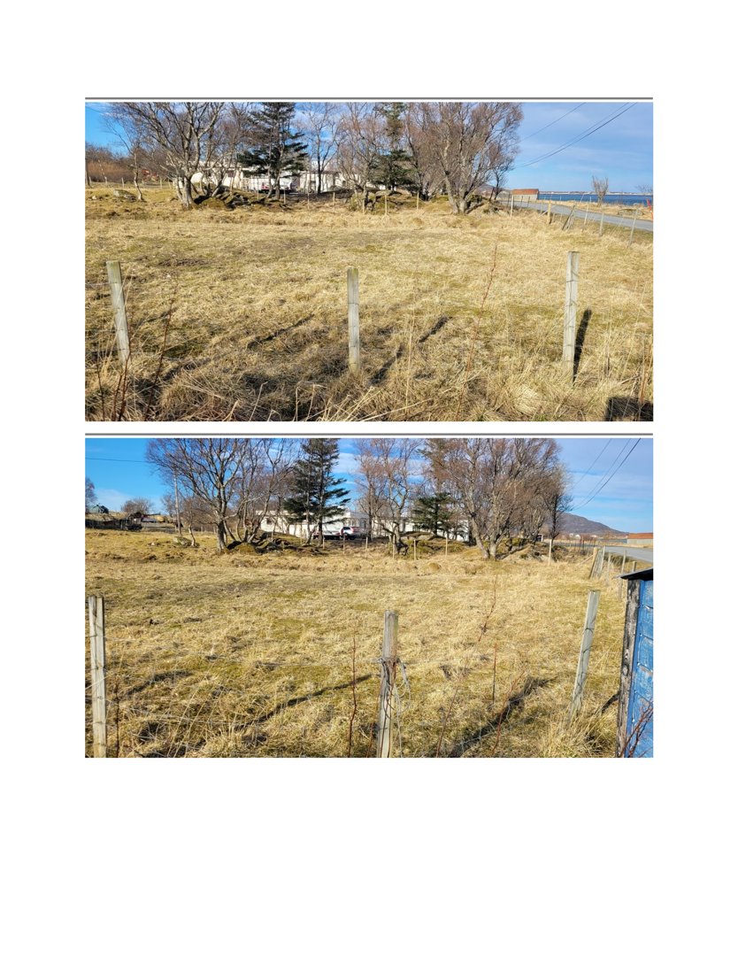 Fotografier av et tomt eller byggefelt med gress, hekk, trær og nabolag i bakgrunnen.