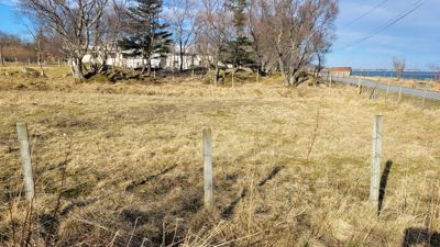 Fotografi av en tomt med gress, hekk og en bygning i bakgrunnen.