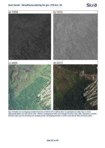 Bildet viser en samling flyfotografier (a-d) fra årene 1958, 1972, 2005 og 2013 som dokumenterer endringer i vegetasjon og terreng i et kartleggingsområde.