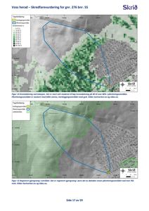 Kart som viser skredfarevurdering for et område i Voss herad, med overlag av kornedekning og gjengroing.