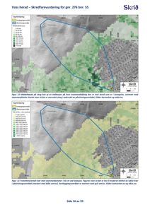 Kart som viser skredfarevurdering for et område i Voss, med overlag av skogdekke og trebestand.