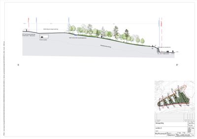 Snittegning som viser terrengform, vegetasjon og bygningens plassering i forhold til terrenget.