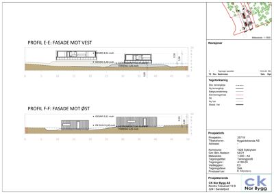 Snittegning (profil) som viser bygningens høyde i forhold til terrenget og grunnvannsnivået.