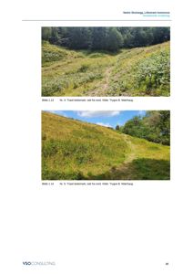 Fotografier av et terreng med beitemark og en sti, sett fra nord.