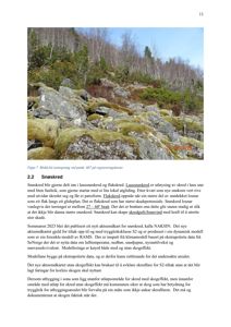 Fotografi av en blokk som er delt i to ved steinsprang, tatt ved punkt 607 på et registreringskart.