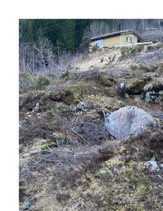 Fotografi av et eksisterende hus plassert på en skråning i et naturområde.