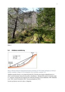 Fotografi av et skredfelt med steinsprang i en skogkant.