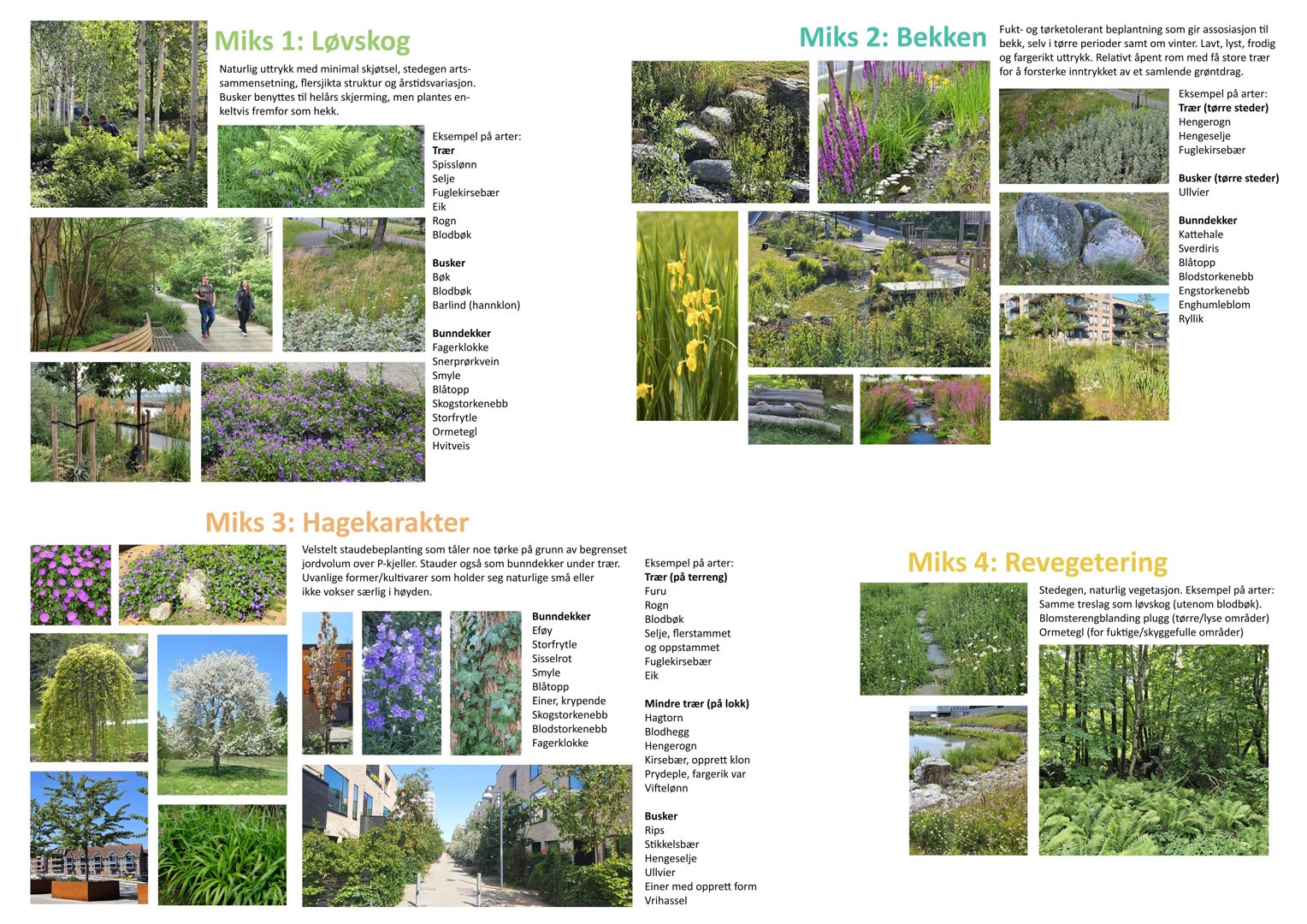 Et collage av flere fargefotografier som viser ulike typer beplantning (trær, busker, blomster) i en landskapsarkitektonisk sammenheng, med tekster som beskriver plantearter og bruksområder.