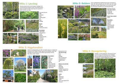 Et collage av flere fargefotografier som viser ulike typer beplantning (trær, busker, blomster) i en landskapsarkitektonisk sammenheng, med tekster som beskriver plantearter og bruksområder.