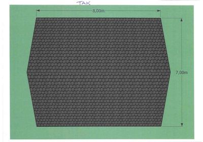 Tegning som viser fasadeoppsett for taket (tekst 'TAK' øverst), med angitte mål på 8,00m bredde og 7,00m høyde.