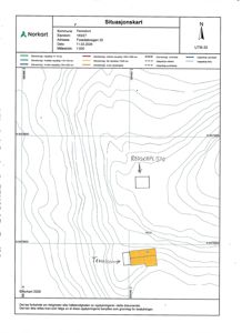 Situasjonskart som viser topografi, eiendomsgrenser og bygningsplassering.