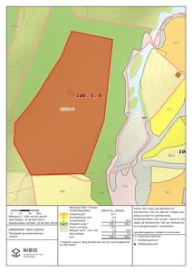 Gårdsplan (tomteplan) som viser arealbruksfordeling, eiendomsgrenser og kartlegging av markskog.