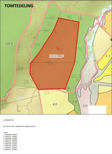 Tomtedeling med oppgitt areal (11111 m²) og koordinater for punkter som definerer tomtegrensene.