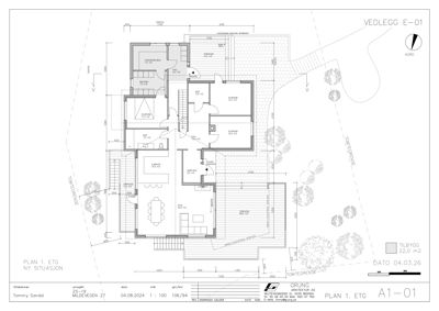Situasjonsplan (tomteplan) som viser bygningens plassering i forhold til tomtegrenser, nabotomter, veier og orientering.