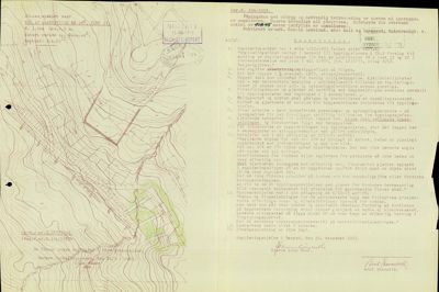 Situasjonsplan med topografiske konturlinjer, bygningsplassering og reguleringsgrenser