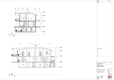 Snittegning av enebolig som viser romfordeling, høyder og konstruksjon.