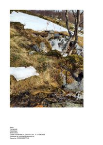 Fotografi av et utsnitt av terreng med snø, grus, steiner og en liten vannstrøm. Bildet viser også en liten betongkonstruksjon (muligens en vannledning eller avløp) og noen trestammer.