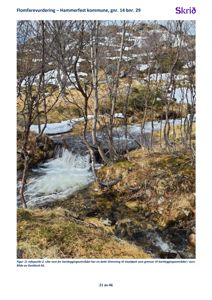 Fotografi av et bekkeløp med vannfall i et fjellområde, inkludert snø og trær. Bildet er brukt som illustrasjon i en flomfarevurdering.