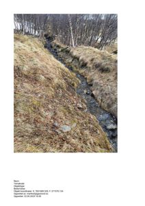 Fotografi av et terreng med en liten bekke eller renne i en skogskant.