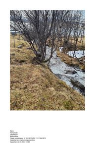 Fotografi av et naturområde med en bekk, trær og snø, sannsynligvis tatt på byggefeltet.