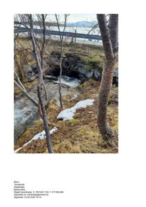 Fotografi av en utløpsrørledning (tømmersluse) i bakken med vann som renner ut, sett fra et lavt nivå med trær i forgrunnen.