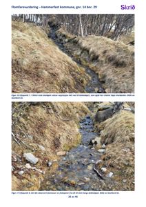 Fotografier av et bekkeløp med vegetasjon og løsmasser, inkludert tekster som identifiserer dem som 'Figur 16' og 'Figur 17' fra en flomfarevurdering.