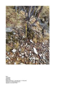 Fotografi av et terrengområde med steiner, mos og trær, med en gul målestokk eller markør i bakken. Bildet har metadata nederst som indikerer det er tatt fra et georeferert system.