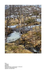 Fotografi av et naturområde med en liten vannfall, trær og snø i bakgrunnen.