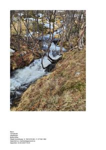 Fotografi av en elv eller bekke i et skogsmiljø med snø og bartrær.