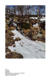 Fotografi av et naturområde med snø, trær og en liten bekke.