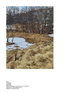 Fotografi av et naturområde med snøflekker, grøft og trær, sannsynligvis en del av et byggeområde eller en tomt.