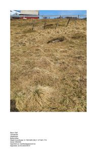 Fotografi av et grønt, skrått terreng (fjell) med en delvis synlig rød bygning og hekk i bakgrunnen.