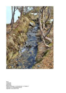 Fotografi av en bekke eller renne i et naturlig landskap med snø og trær.